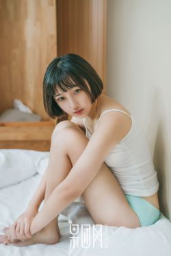 黛妃小说